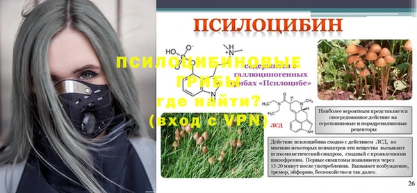 a pvp Строитель