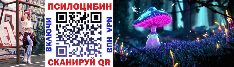 Псилоцибиновые грибы GOLDEN TEACHER  Купить  Стародуб 
